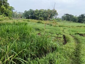 Как жить в Индонезии экономно